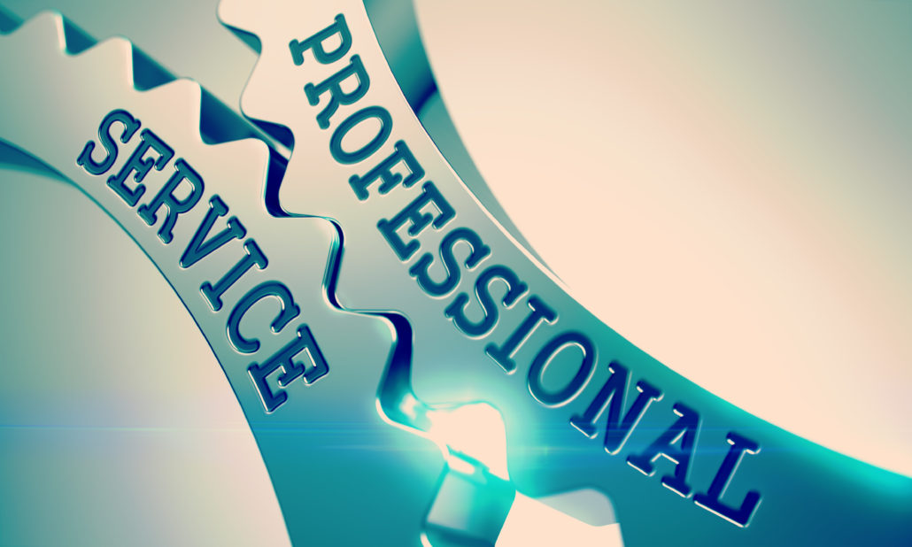 Professional Service: How does CtiPath provide professional services ...